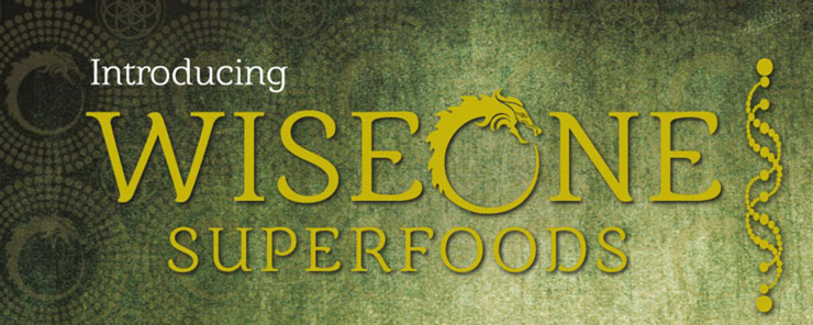 Wise One Superfoods logo