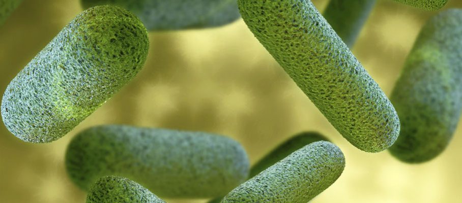 MyCrobz Bacteria Solutions logo