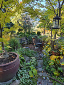 Hartley House, Nelson - Back Garden