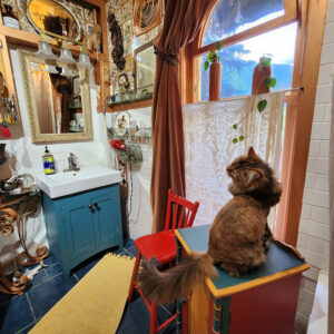 Hartley House, Nelson - Bathroom + Kitty