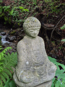 Hartley House, Nelson - Buddha