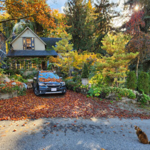 Hartley House, Nelson - Front of House