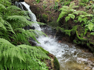 Hartley House, Nelson - Waterfall